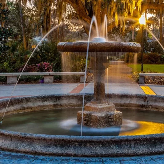 gainesville florida it company bg gainesville fl fountain